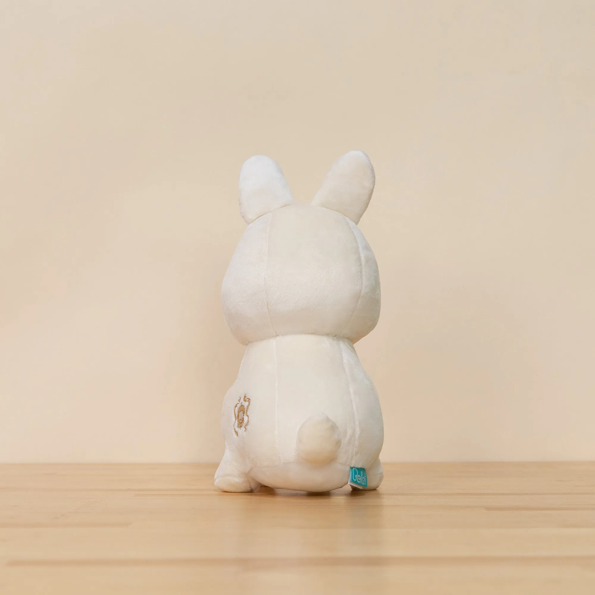 Bunni the Dwarf White Rabbit