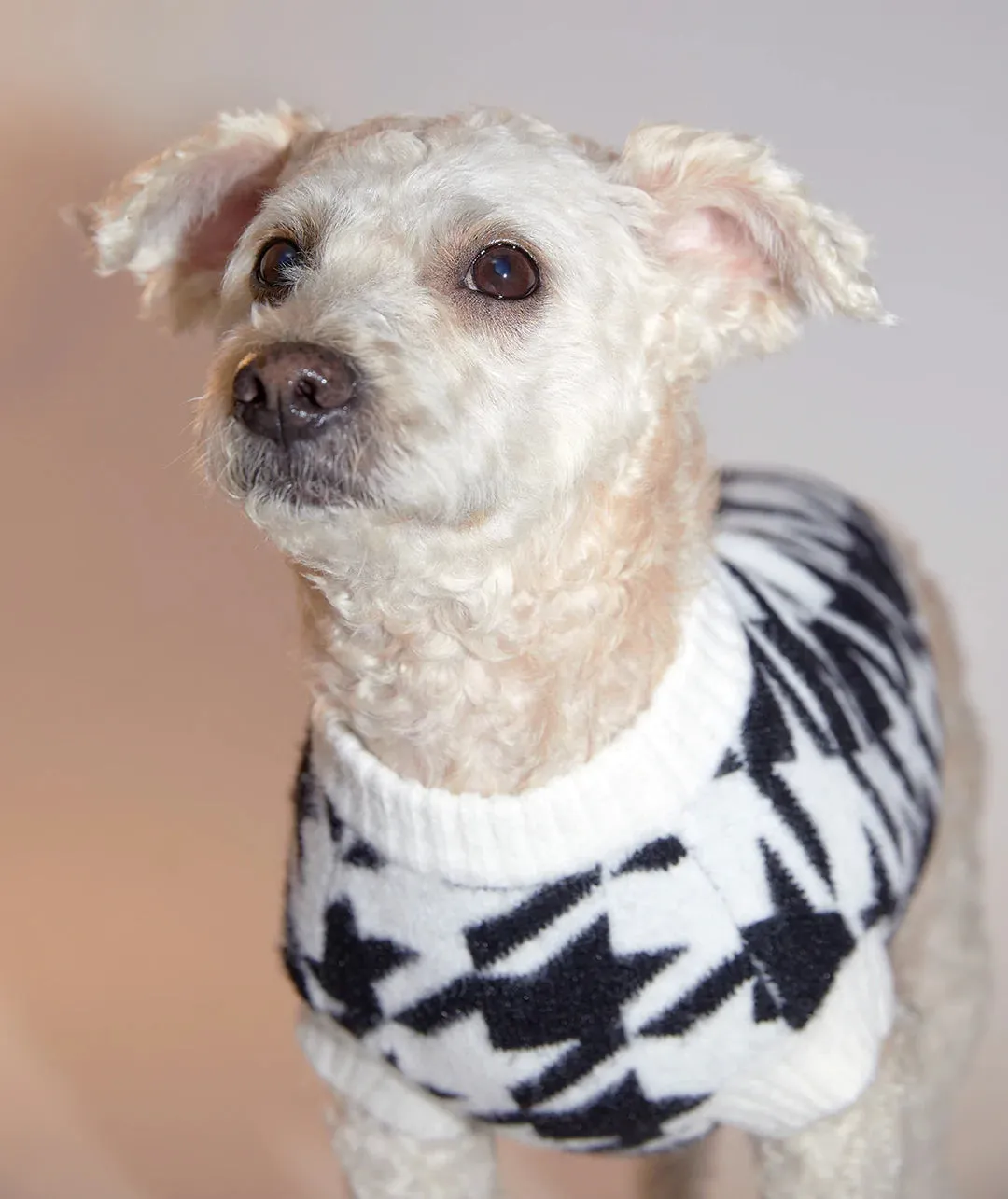 Houndstooth Jumper