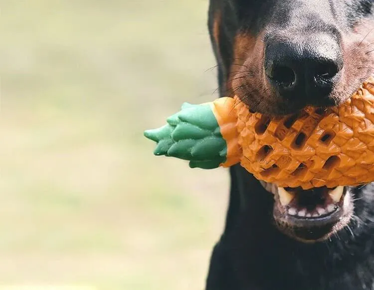 PETOPIA Ultra Tough Dog Toy Pawsome Pineapple Mini for Puppy Small Dogs